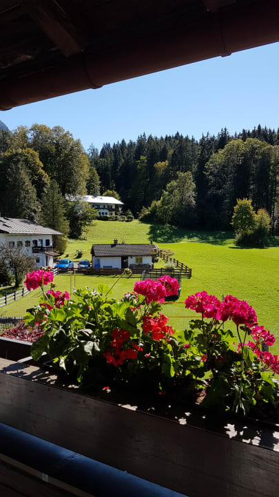 Ausblick Alm- & Wellnesshotel Alpenhof