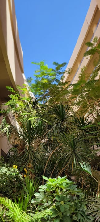 Gartenanlage Steigenberger Makadi Hotel - Adults only