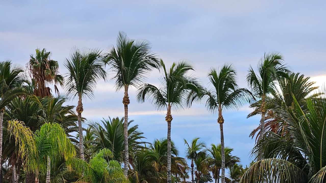 Gartenanlage Hipotels La Geria