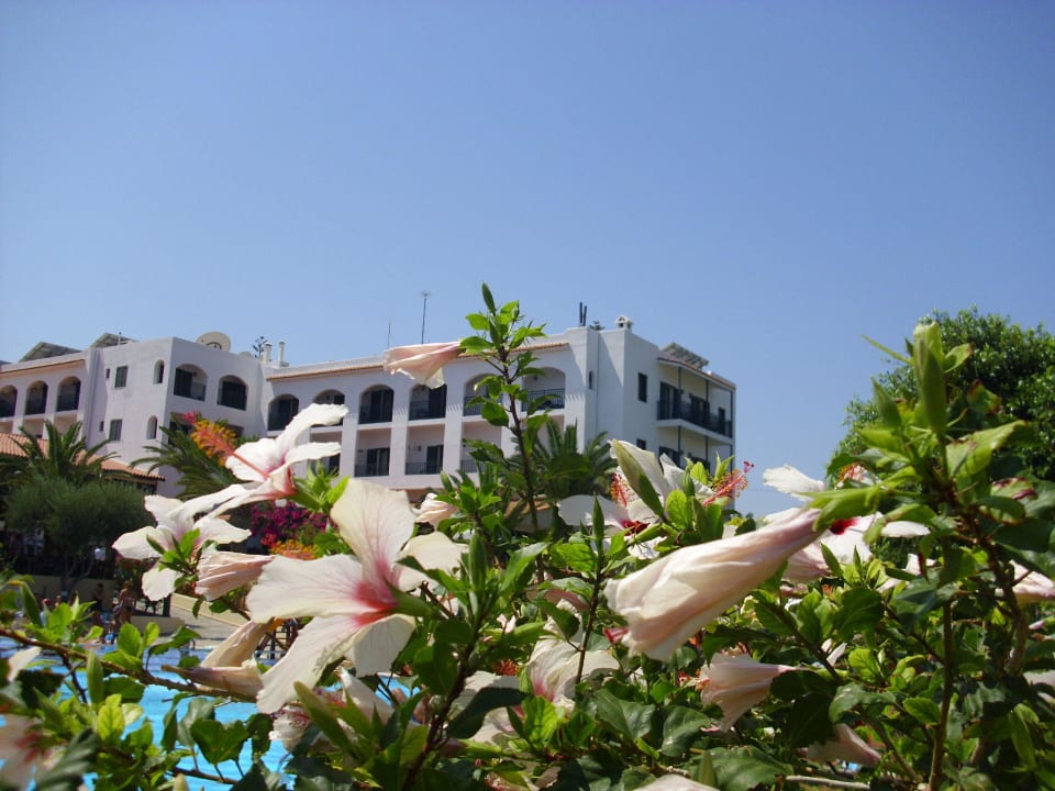 Haupthaus TUI SUNEO Chrissi Amoudia