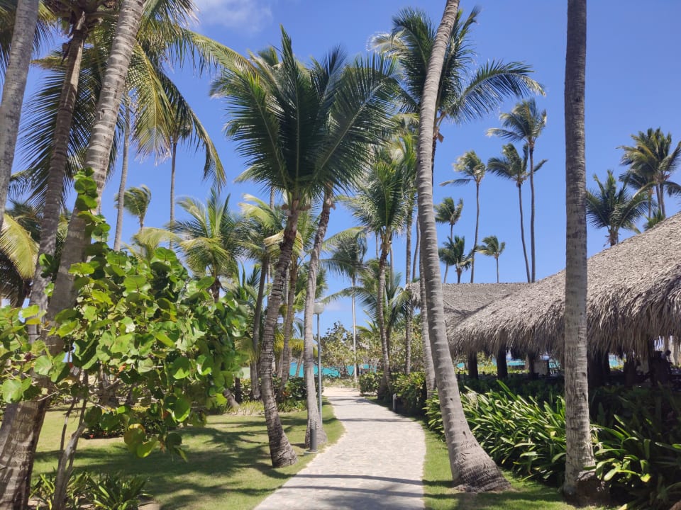 Gartenanlage Hotel Grand Palladium Palace Resort, Spa & Casino