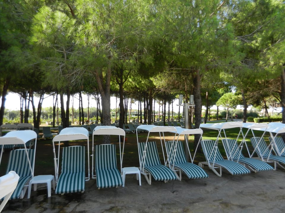 Xanadu  Xanadu Resort Hotel