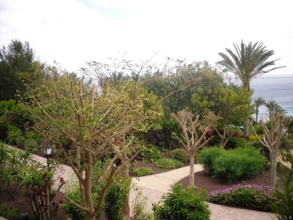Blick vom Balkon R2 Rio Calma Hotel & Spa & Conference
