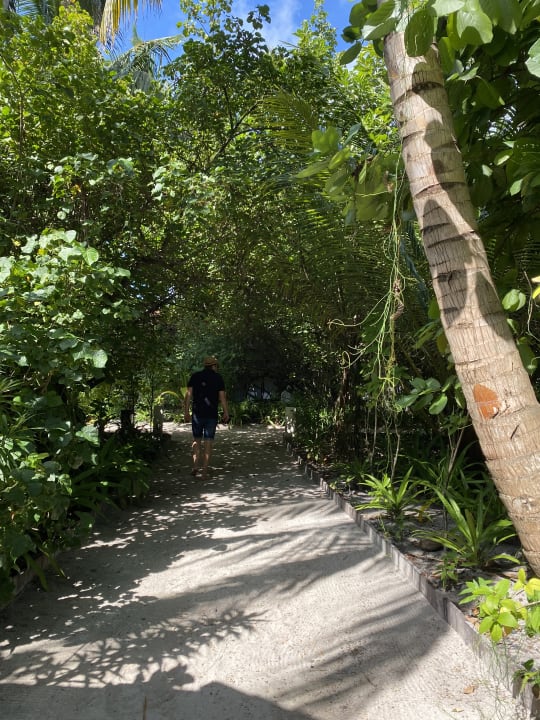 Gartenanlage ROBINSON MALDIVES