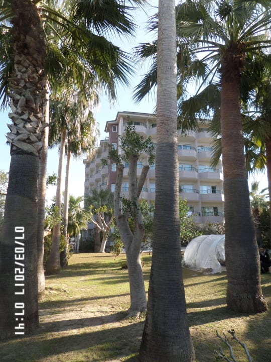 C Block...wer hat das Bild verdreht?  Aska Hotel Just in Beach