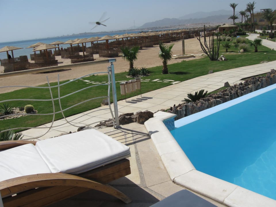Libelle Shams Prestige Abu Soma-Adults Only