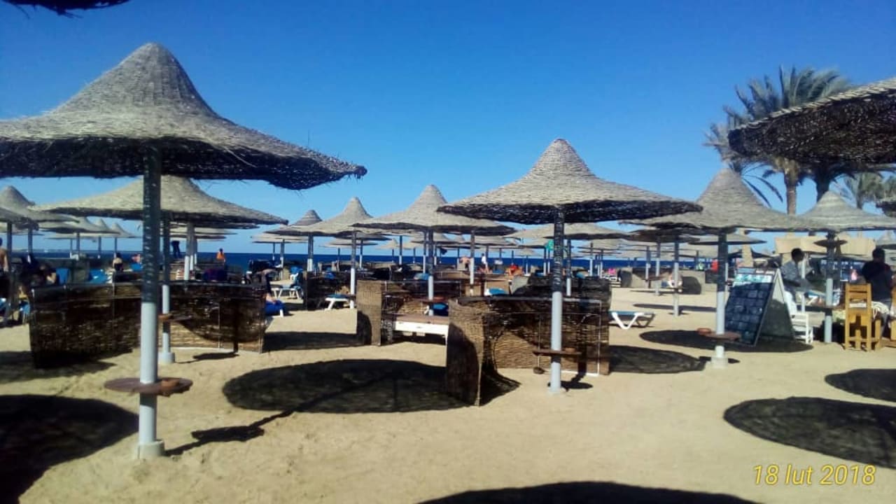 Leżaki Malikia Resort Abu Dabbab