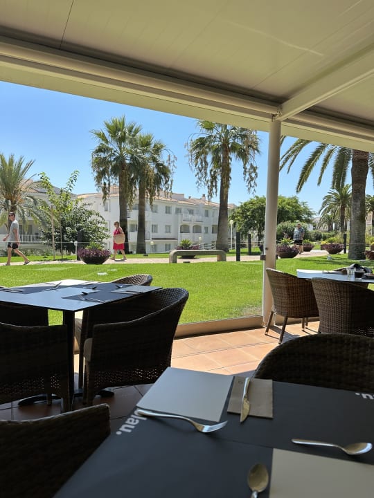 Gastro blau punta reina