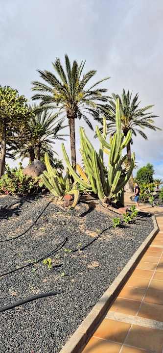 Gartenanlage SBH Costa Calma Beach Resort