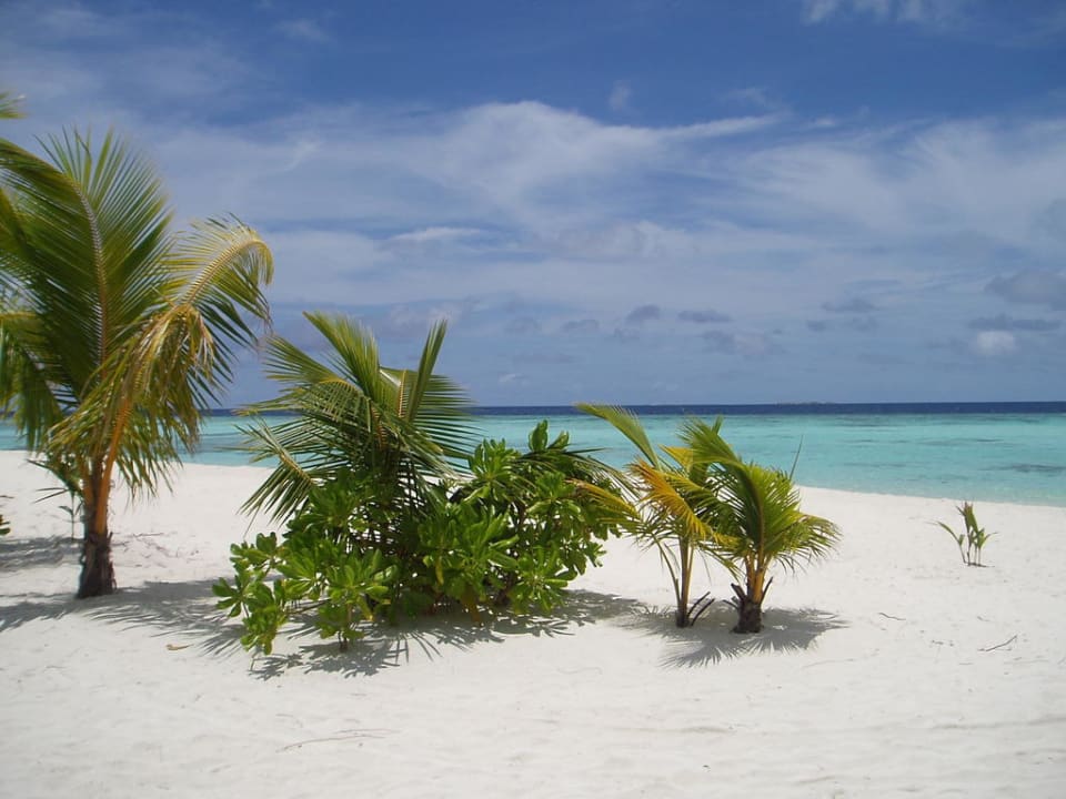 Am Strand Filitheyo Island Resort