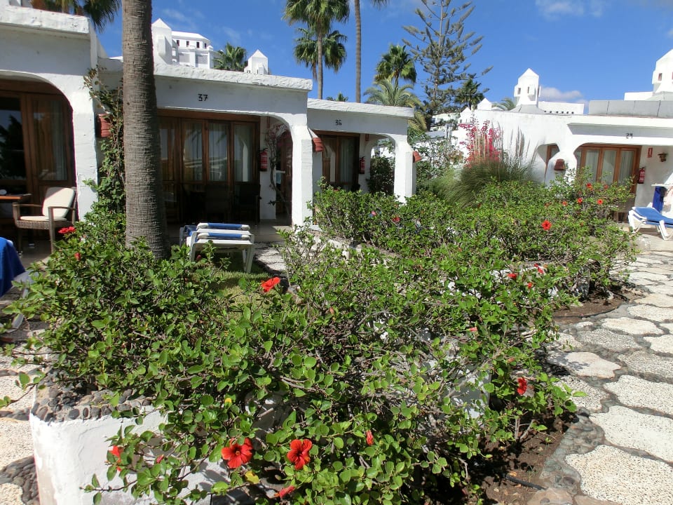 Garten Sahara Beach Club