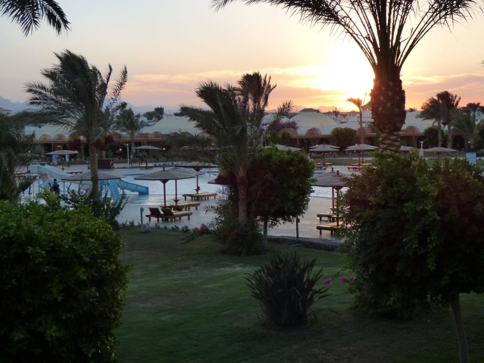 Ausblick vom Zimmer Desert Rose