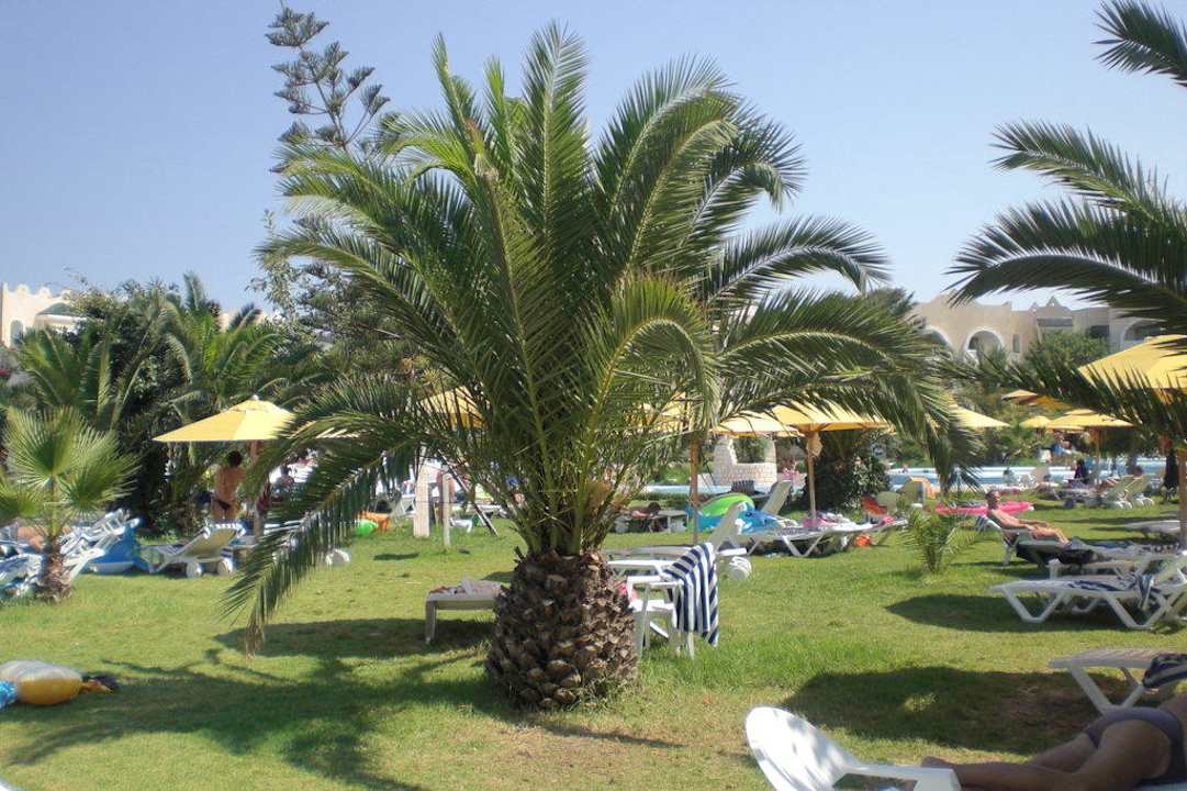 Palme Mahdia Beach & Aquapark
