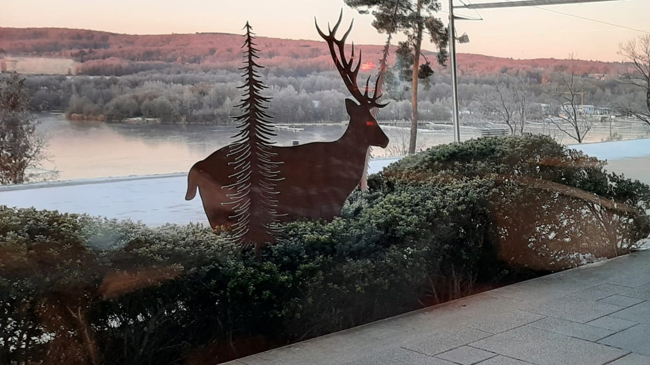 Ausblick Seezeitlodge Hotel & Spa