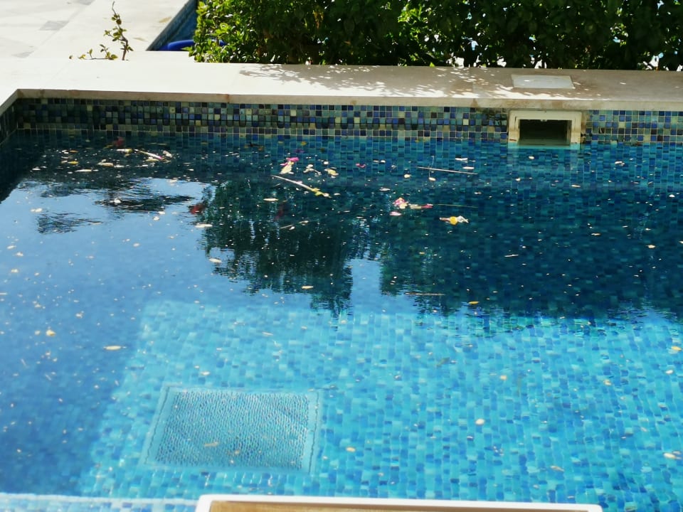 Ausblick The Grand Palace - Adults only