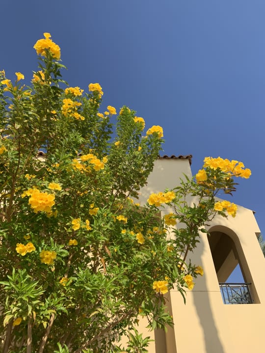 Gartenanlage Cleopatra Luxury Resort Makadi Bay