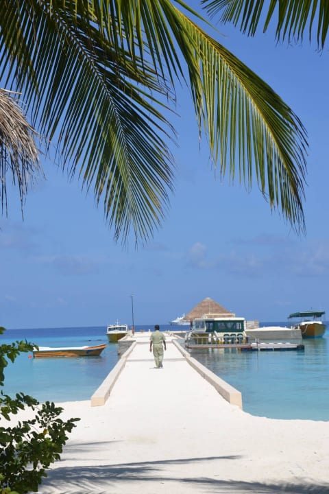 Anlegersteg Summer Island Maldives