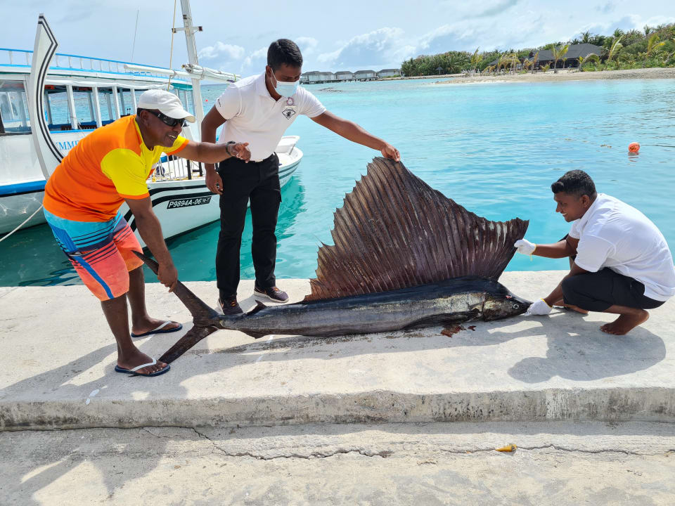 Strand Cinnamon Dhonveli Maldives