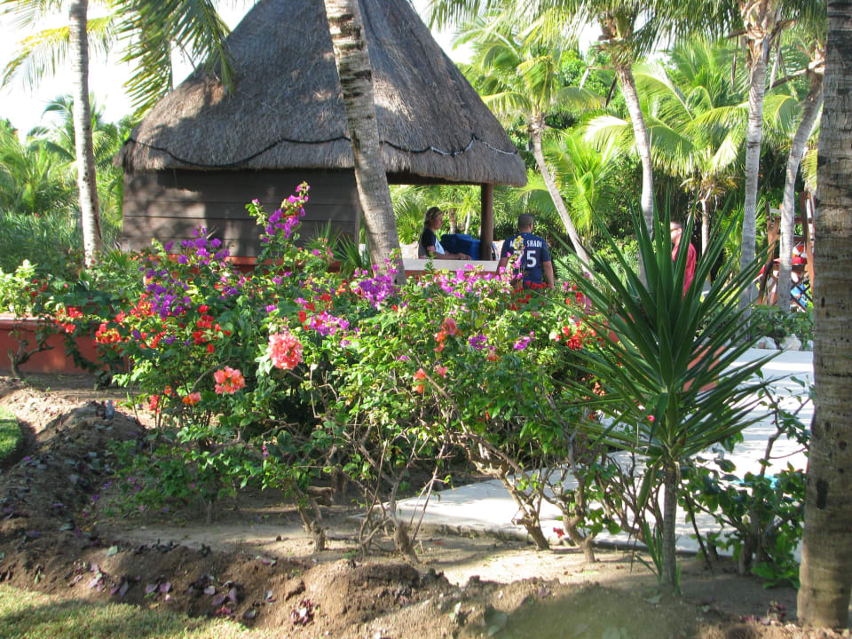 Towelcenter Catalonia Playa Maroma