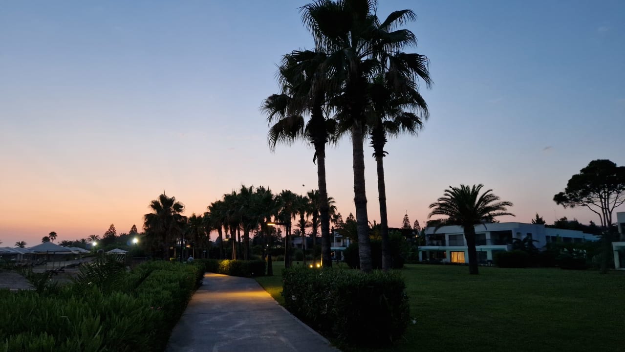 Außenansicht Paloma Finesse