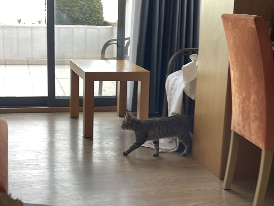 Zimmer Limak Limra Hotel & Resort