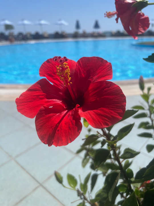 Außenansicht Atrium Prestige Thalasso Spa Resort & Villas