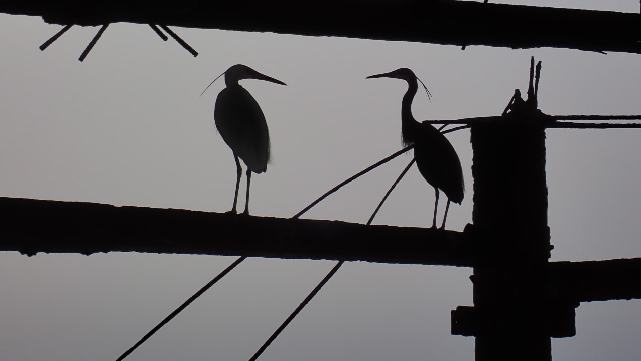 Ausblick Casa Mare Resort