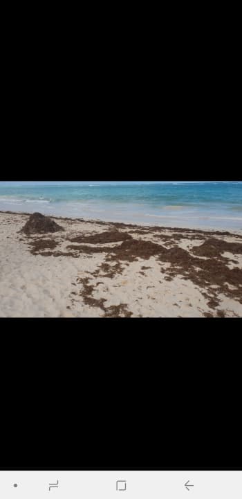 Pool Grand Palladium Select Bávaro Resort & Spa