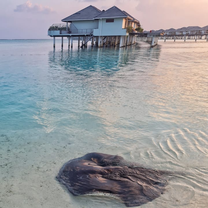 Außenansicht Villa Park Sun Island