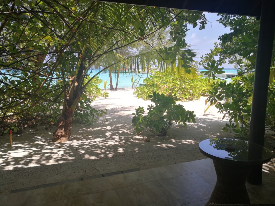 Ausblick Summer Island Maldives