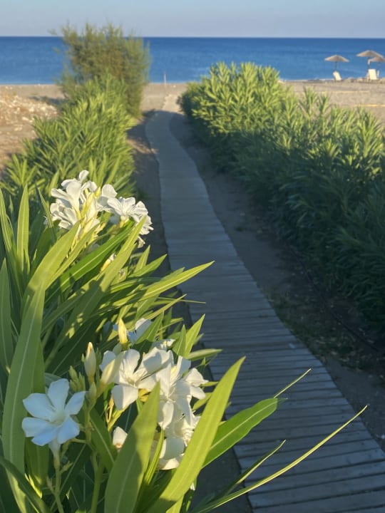 Strand Asterias Beach Resort