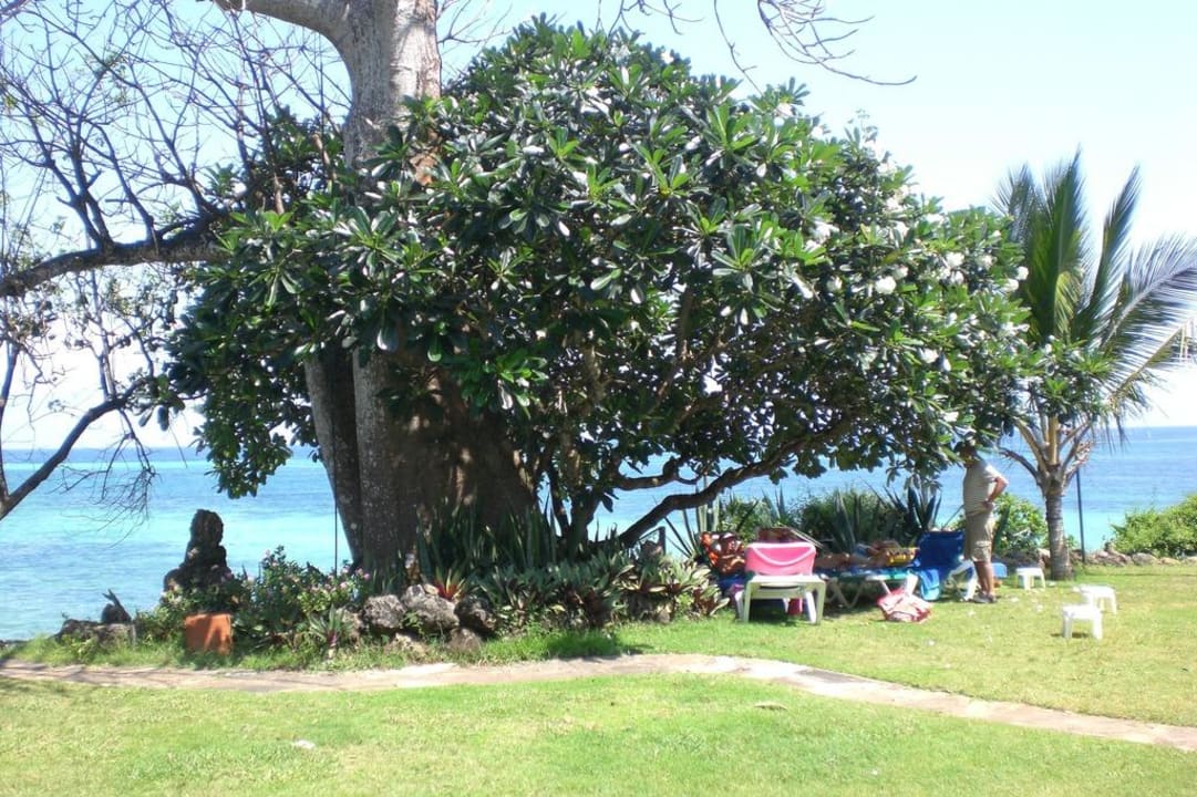 Frangipani Baobab Beach Resort & Spa