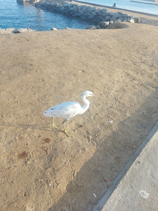 Strand Casa Mare Resort