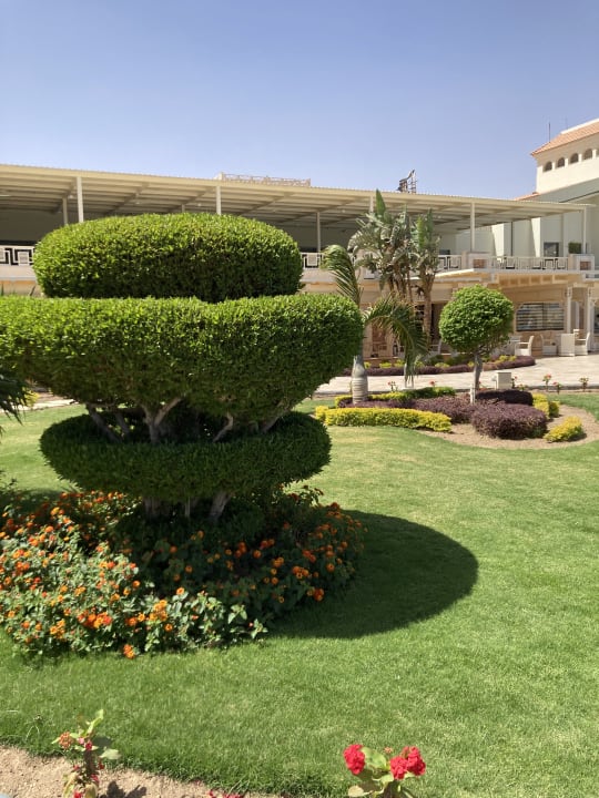 Gartenanlage Pickalbatros Dana Beach Resort - Hurghada