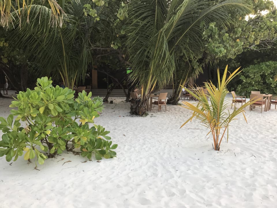 Nordstrand Adaaran Select Meedhupparu Island Resort - Premium All Inclusive