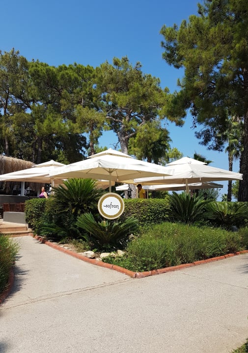 Gastro Balmy Foresta