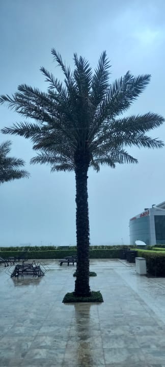 Pool JW Marriott Marquis Hotel Dubai