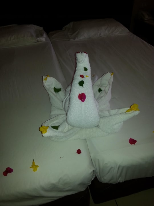 Handtuchgestaltung Jaz Dar EL Madina