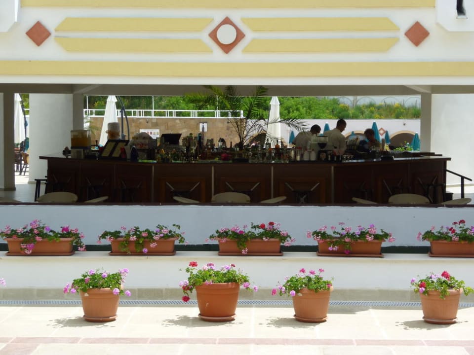 Poolbar von der Rezeption her gesehen Duni Royal Pelican Resort