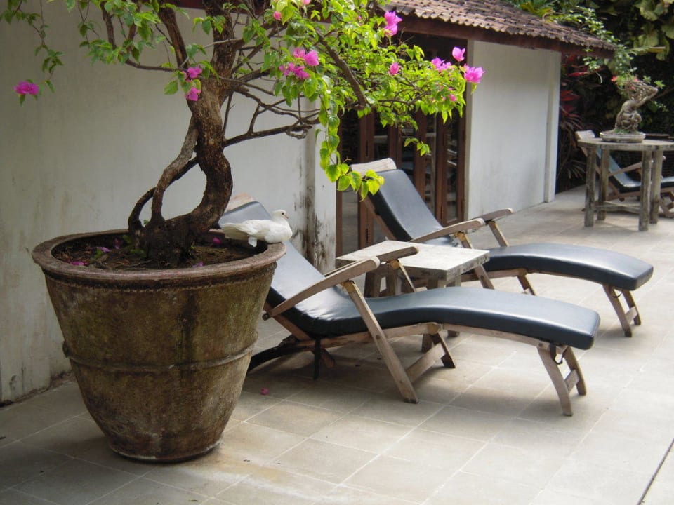 Einfach nur schön! D'Omah Hotel