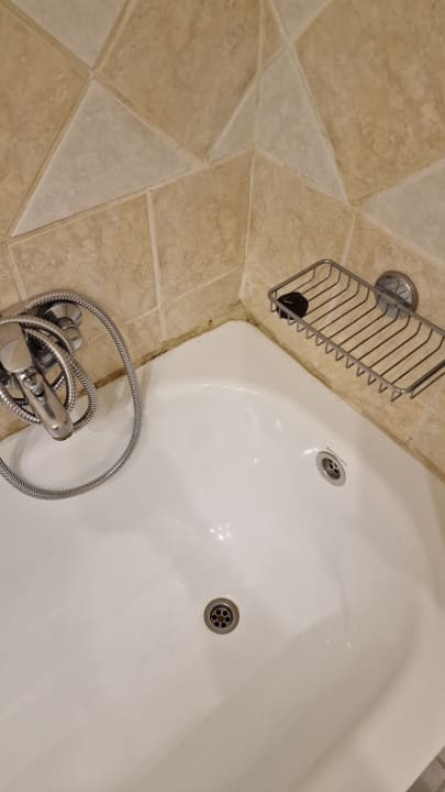 Zimmer Canvas by Mitsis Family Village