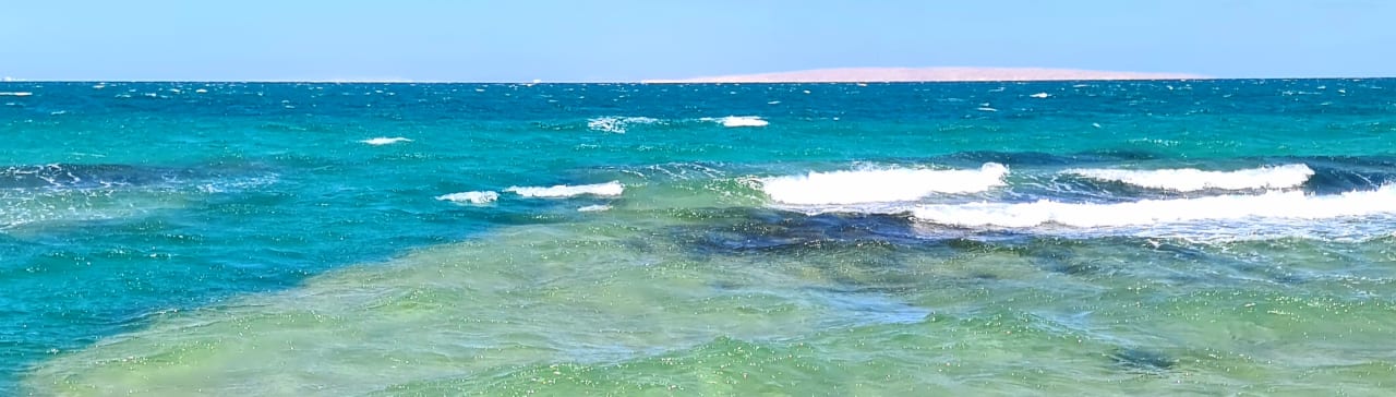 Ausblick Desert Rose