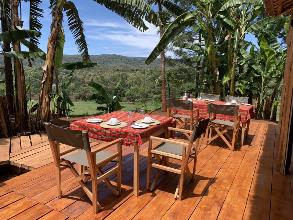 Gastro Foresight Eco Lodge & Safari