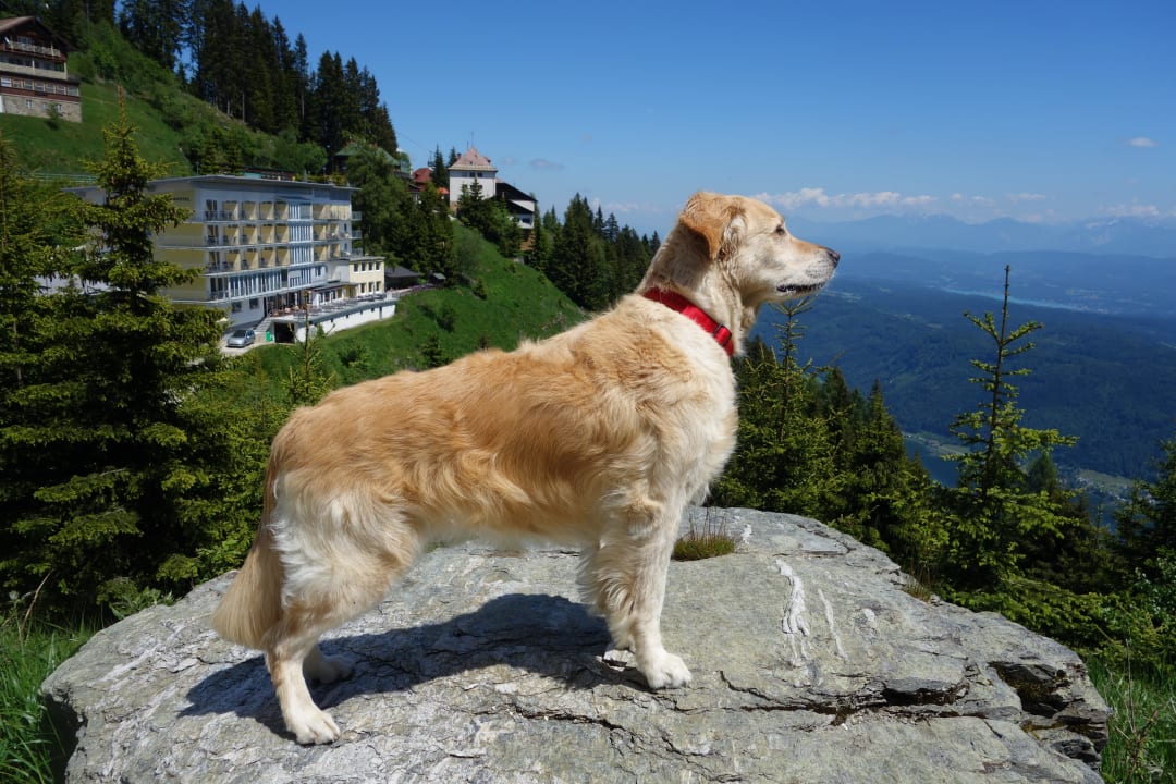 Urlaub mit Wohlfühlfaktor Sonnenhotel Zaubek