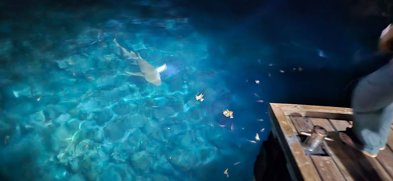 Sonstiges Adaaran Select Meedhupparu Island Resort - Premium All Inclusive