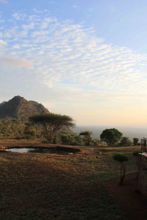 Kleines Wasserloch Ngulia Safari Lodge