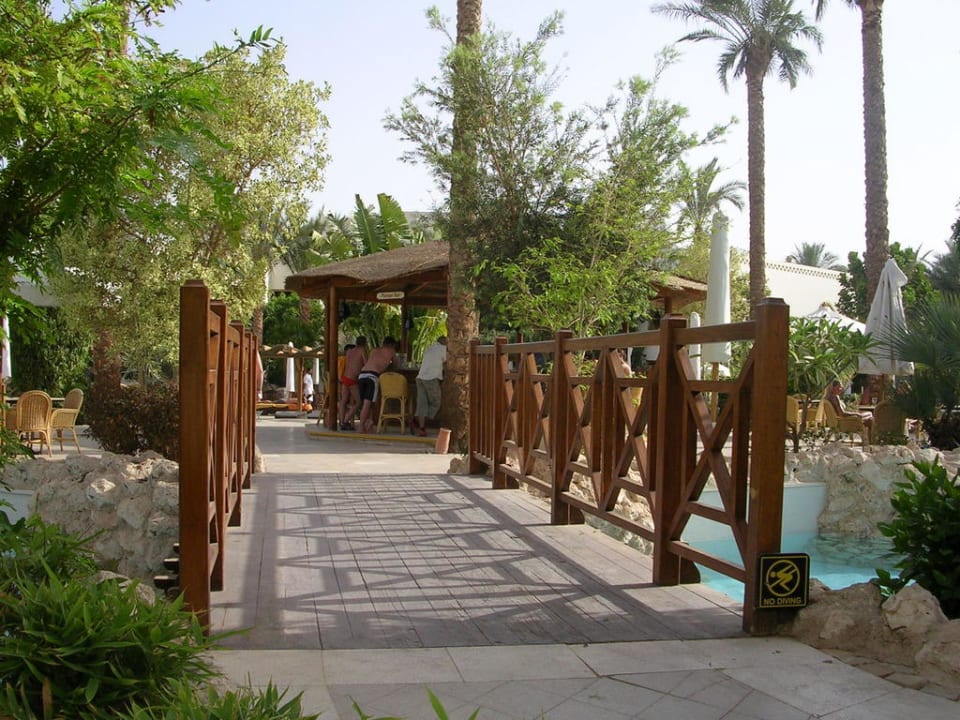 Poolbar Ghazala Gardens