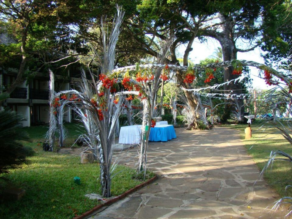 Vorbereitung für den weihn.Cocktailabend Baobab Beach Resort & Spa