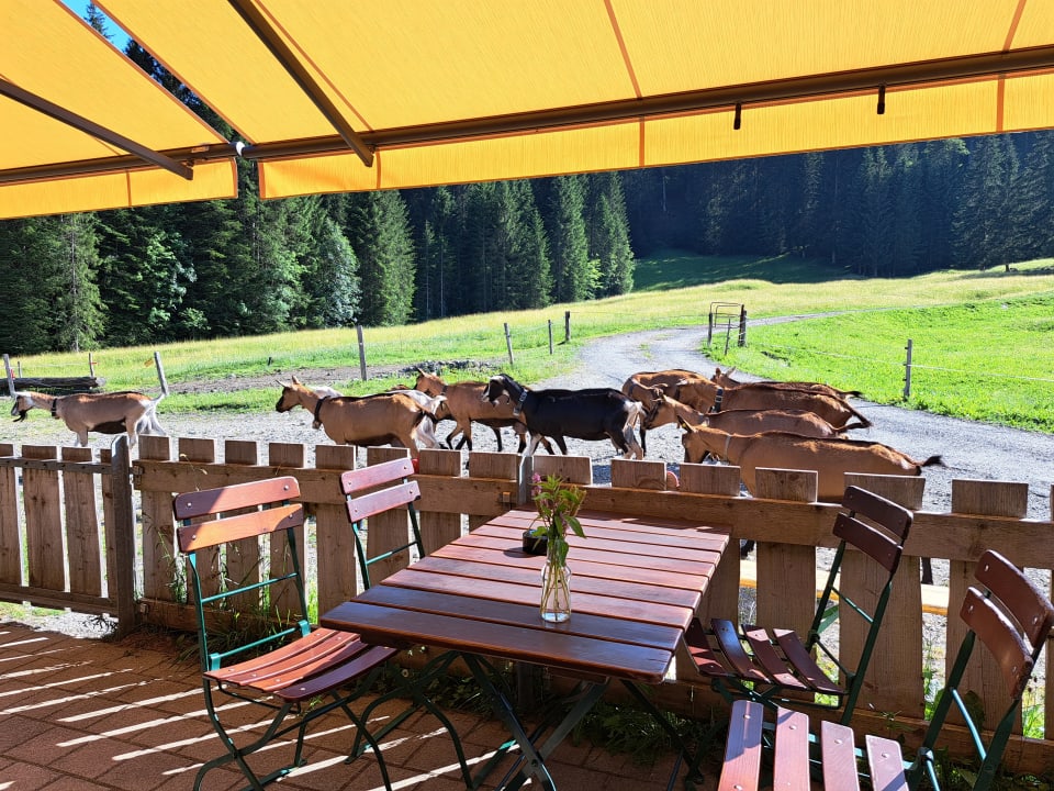 Ausblick Gasthof Schwabenhof