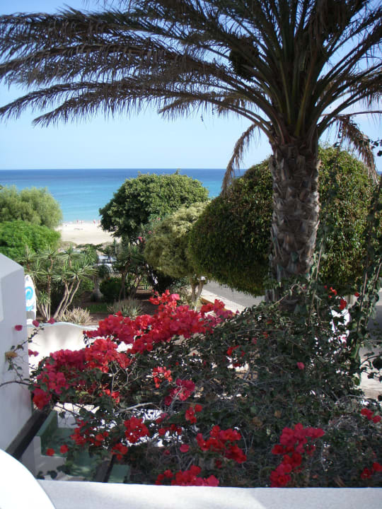 Vor dem Apartment, toll Bahia Calma Beach